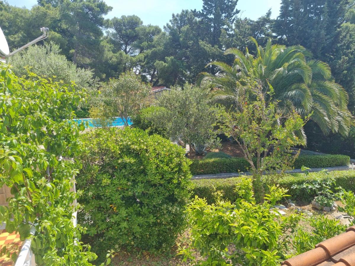Villa Ilaria ボル エクステリア 写真